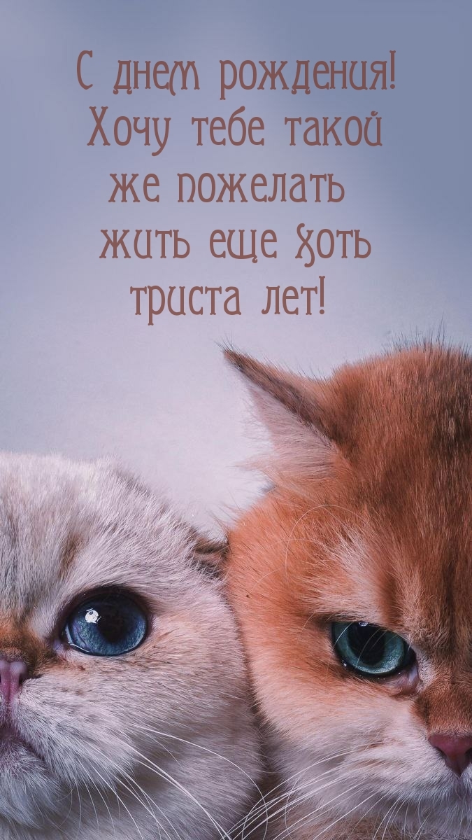 Хочу тебе такой же пожелать жить еще хоть триста лет! 