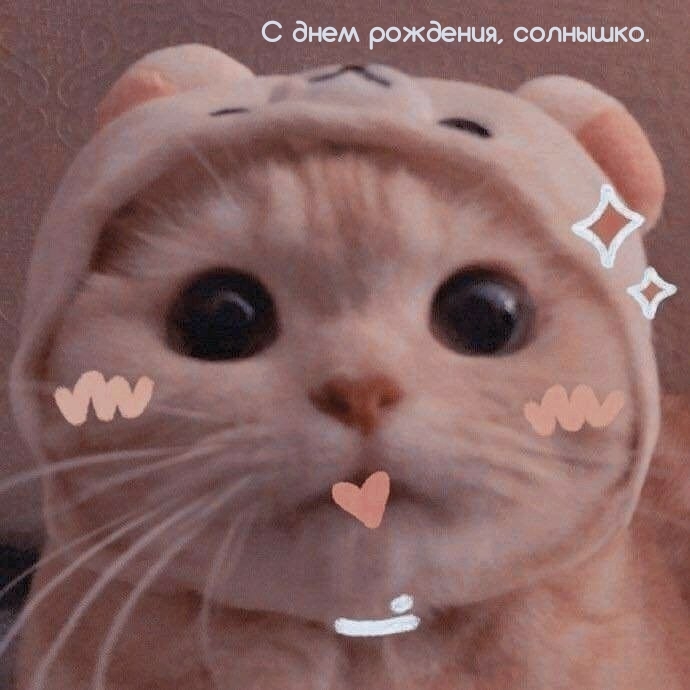 С днем рождения, солнышко.