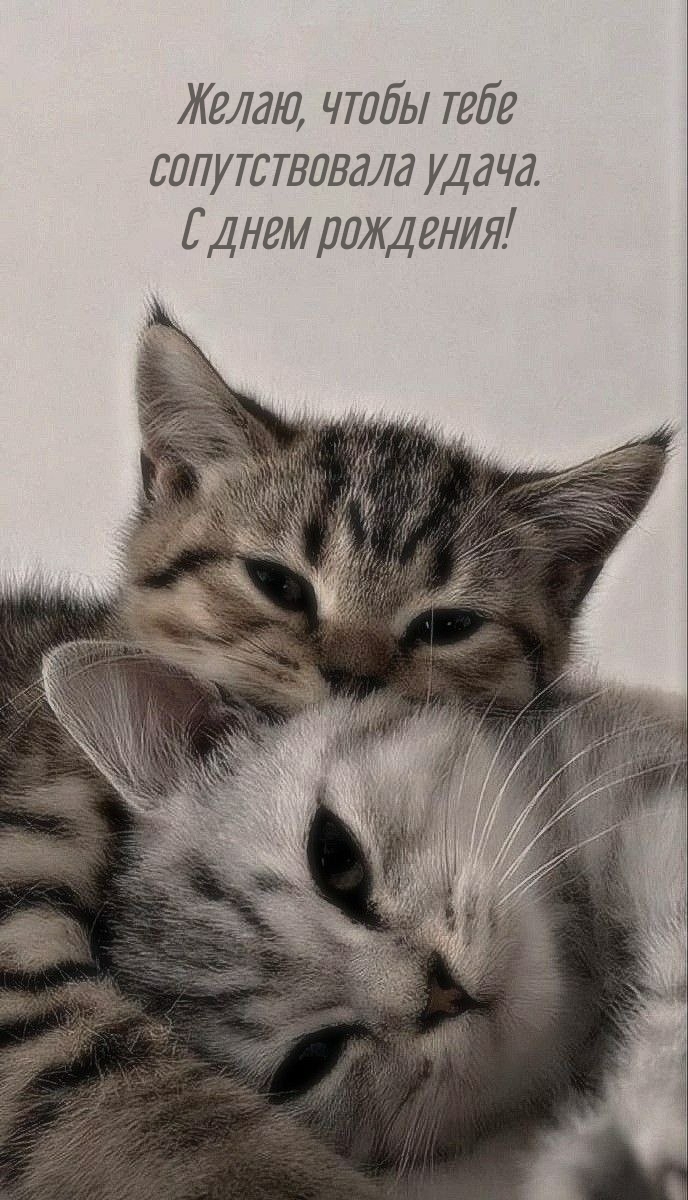 Желаю, чтобы тебе сопутствовала удача. С днем рождения!
