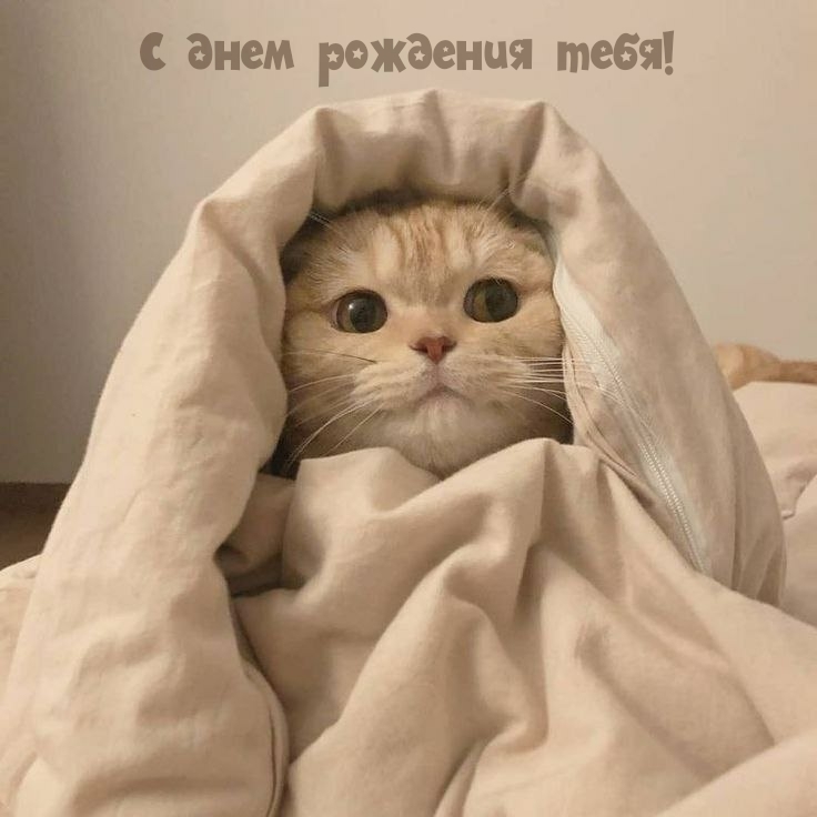 С днем рождения тебя!