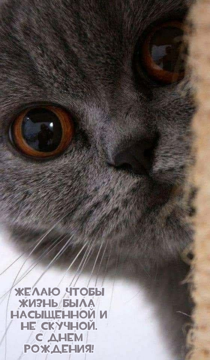 Желаю чтобы жизнь была насыщенной и не скучной.