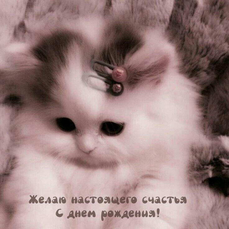 Желаю настоящего счастья с днем рождения!