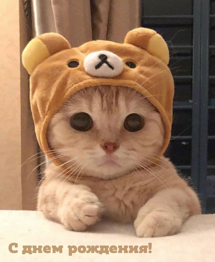 С днем рождения!