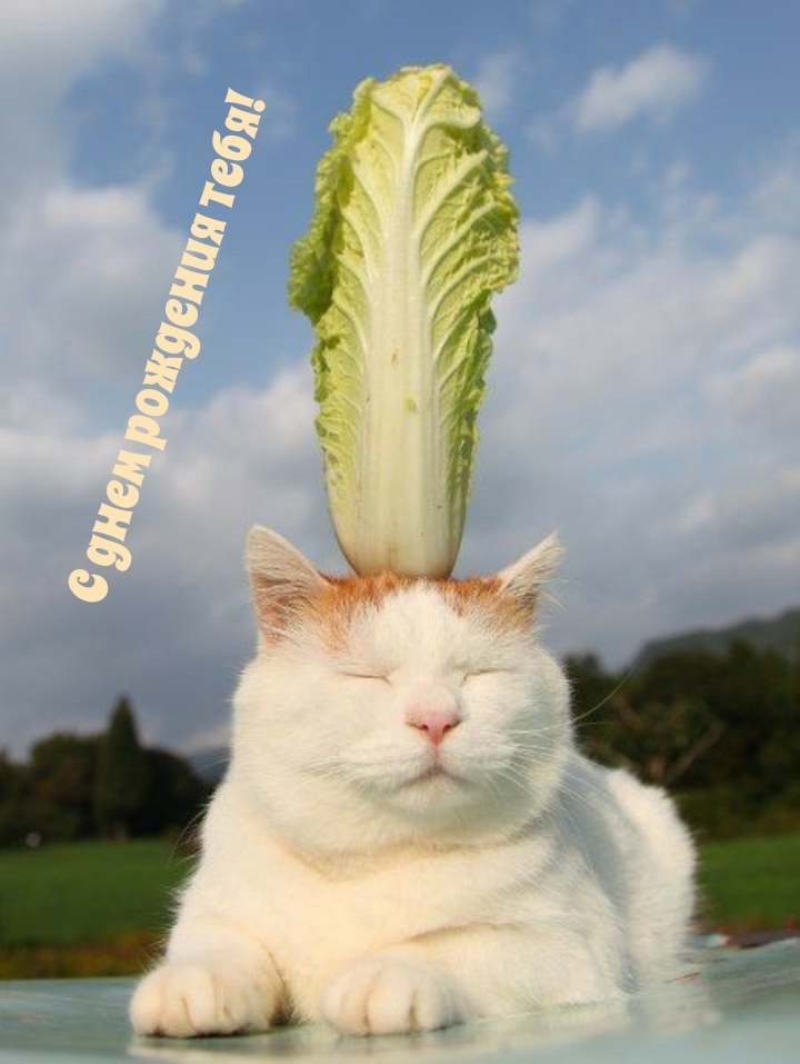 С днем рождения тебя!