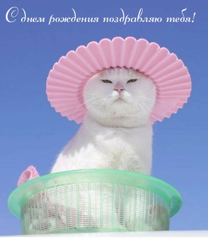 С днем рождения поздравляю тебя!