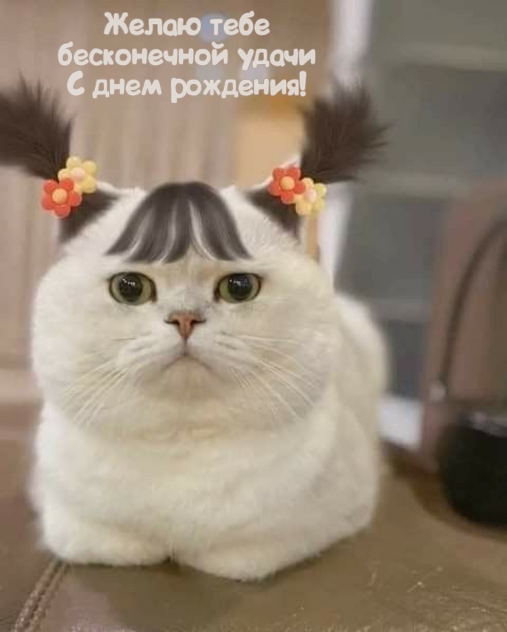 Желаю тебе бесконечной удачи С днем рождения!