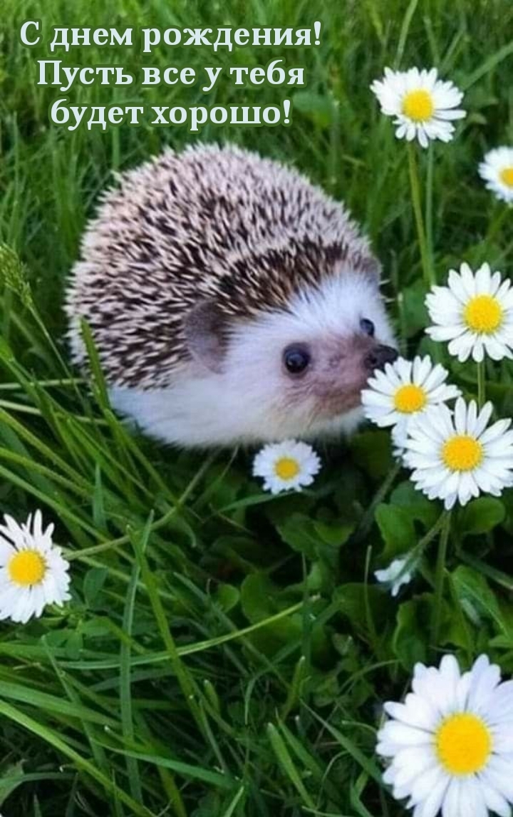 С днем рождения! Пусть все у тебя будет хорошо!