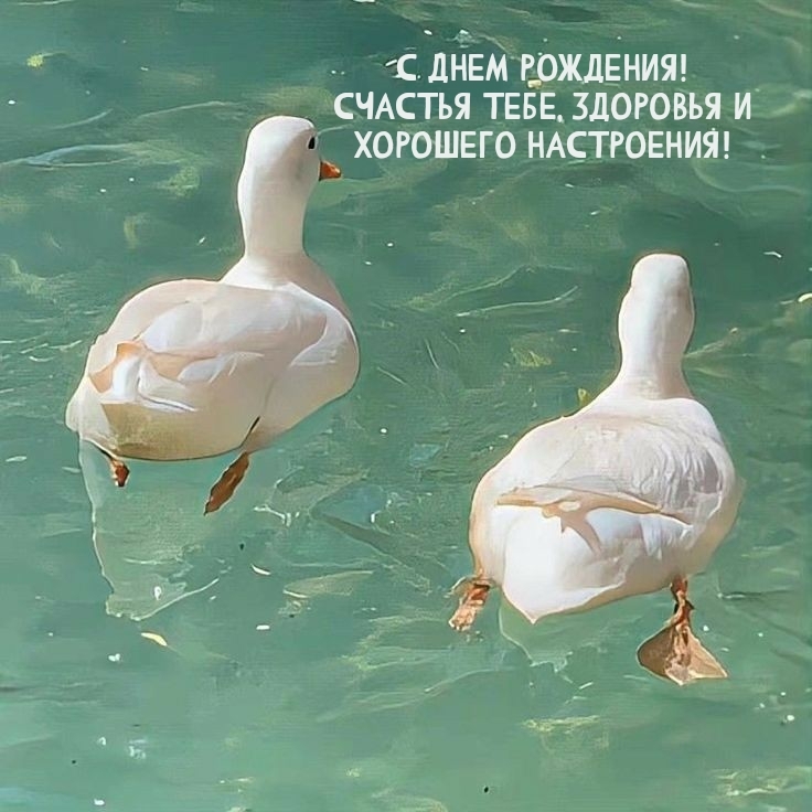 С днем рождения! Счастья тебе, здоровья и хорошего настроения!