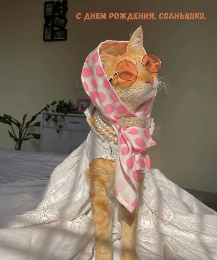 С днем рождения, солнышко.