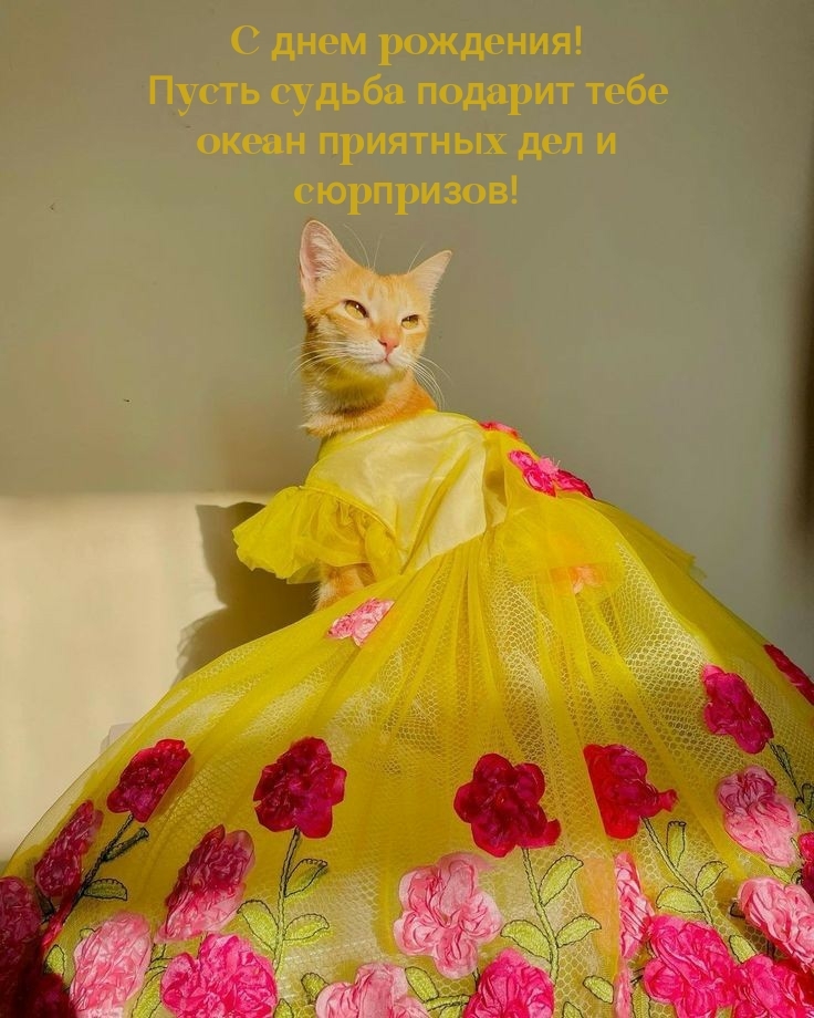 Пусть судьба подарит тебе океан приятных дел и сюрпризов!