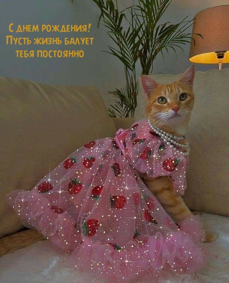 С днем рождения! Пусть жизнь балует тебя постоянно