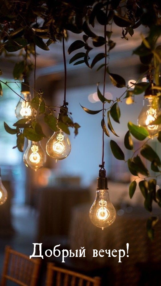 Добрый вечер!