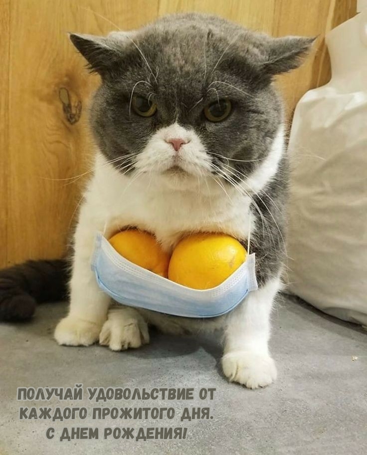 Получай удовольствие от каждого прожитого дня. С днем рождения!