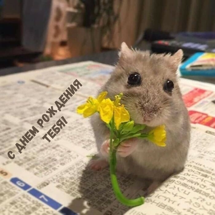 С днем рождения тебя!