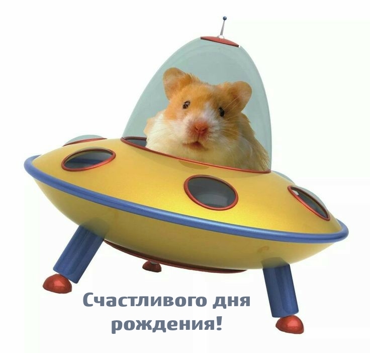 Счастливого дня рождения!