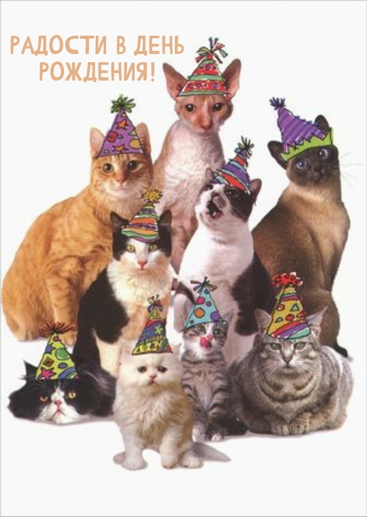 Радости в день рождения!