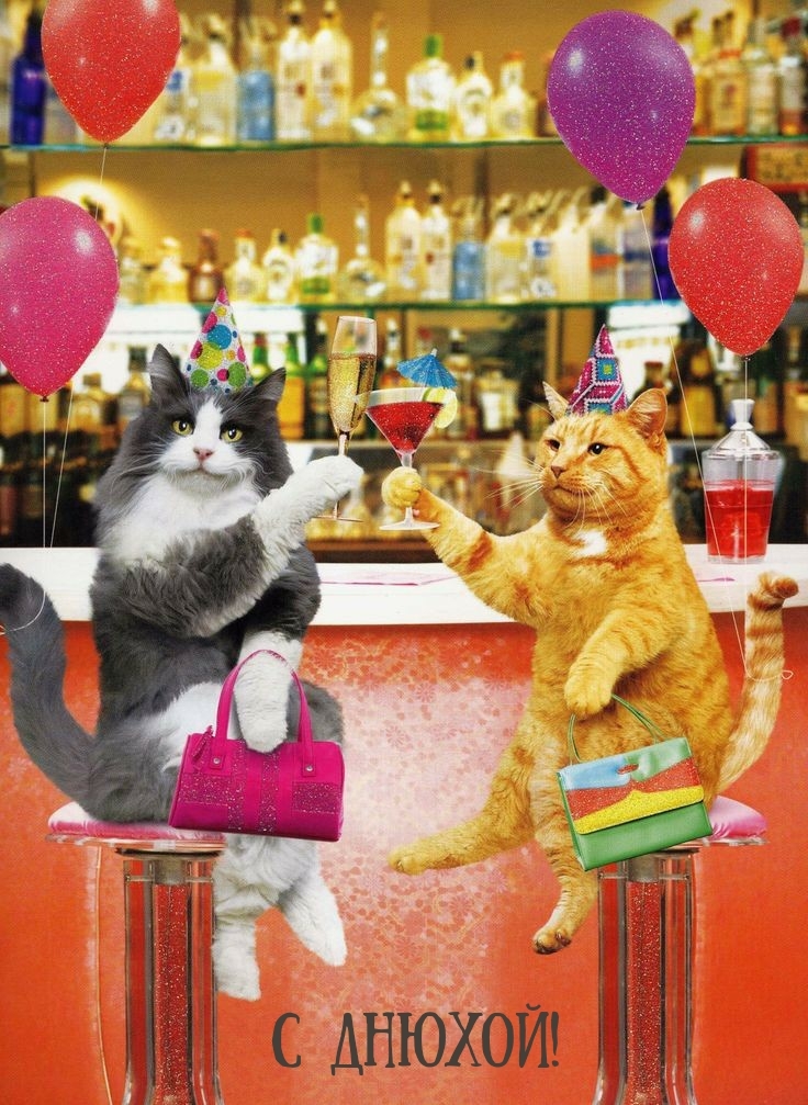 С днюхой!