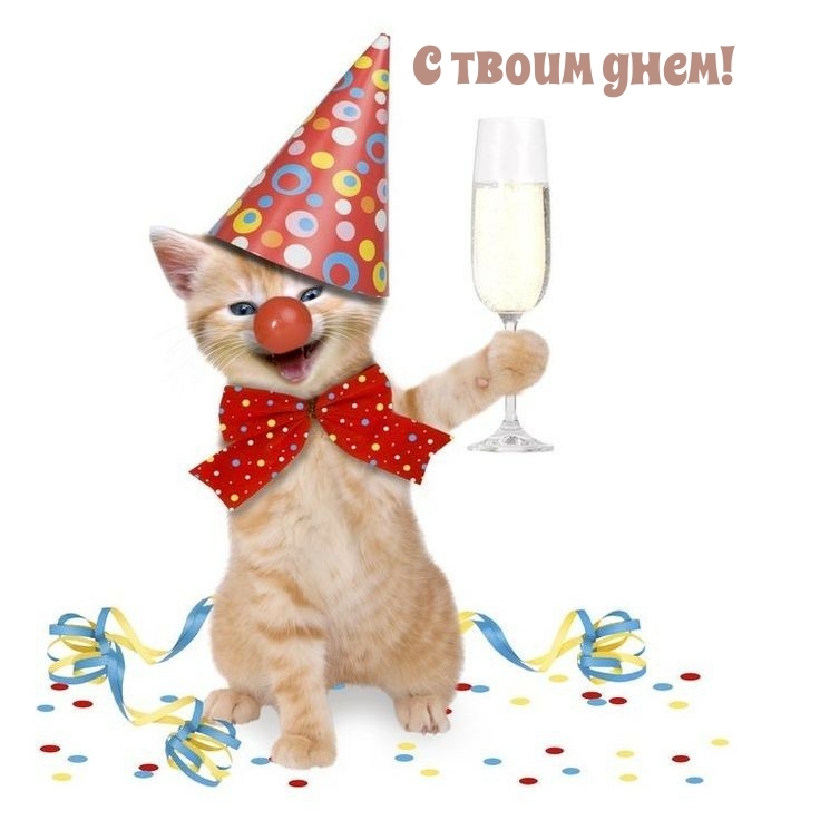 С твоим днем!