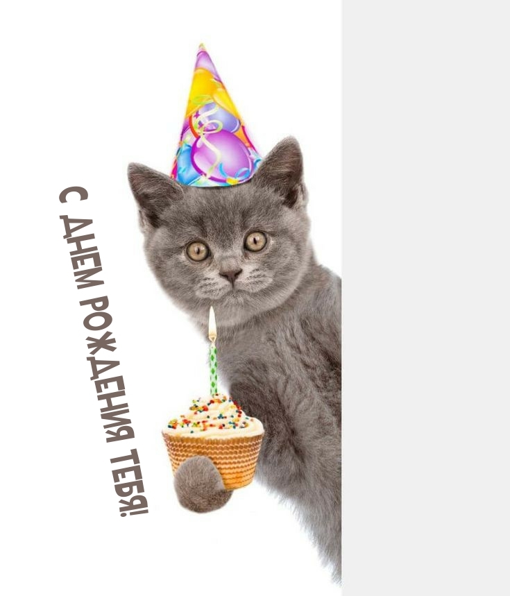 С днем рождения тебя!