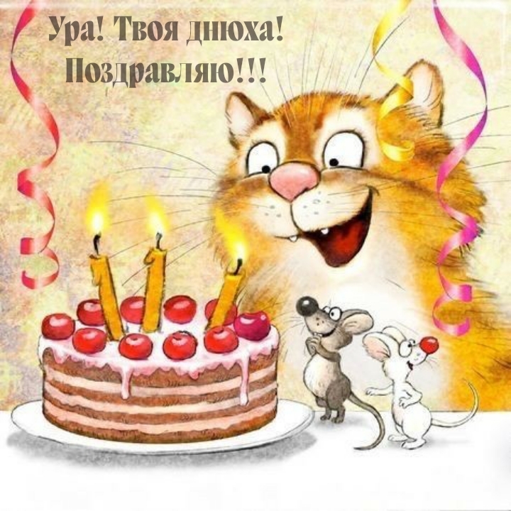 Ура! Твоя днюха! Поздравляю!