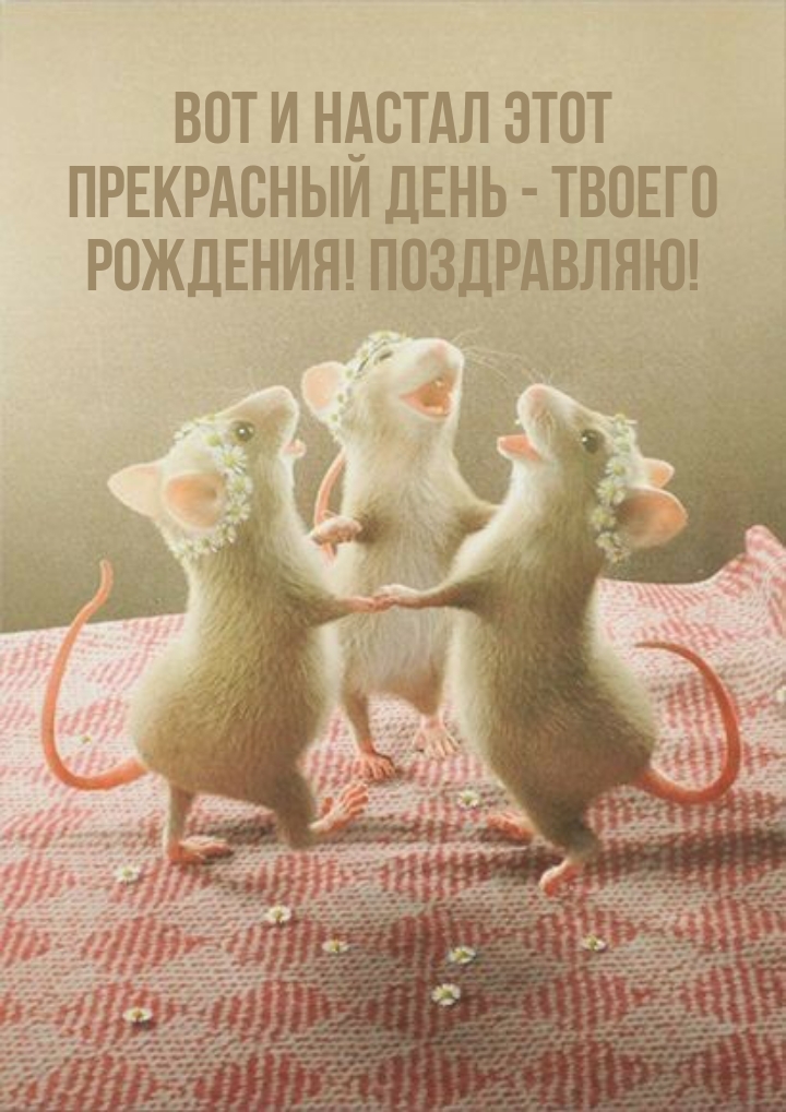 Вот и настал этот прекрасный день - твоего рождения! 