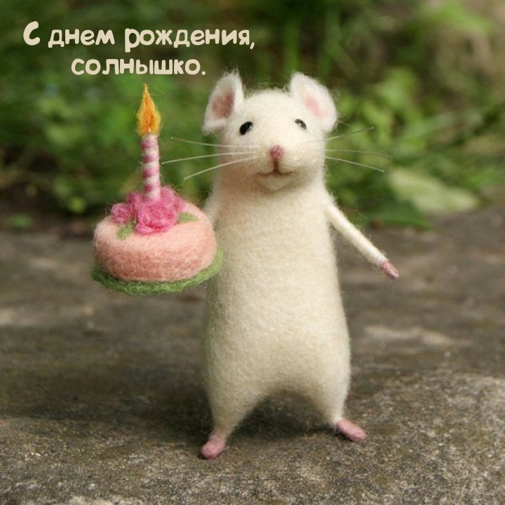 С днем рождения, солнышко.