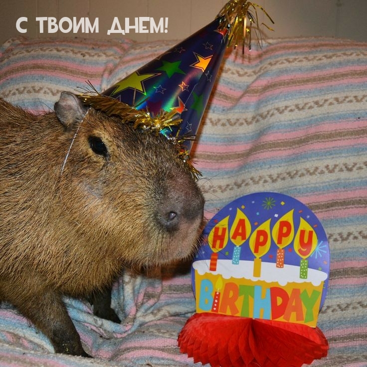 С твоим днем!