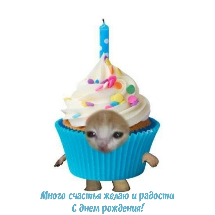 Много счастья желаю и радости С днем рождения!