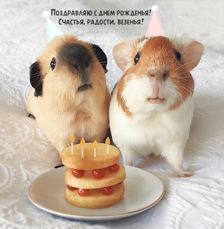 С днем рожденья! Счастья, радости, везенья!