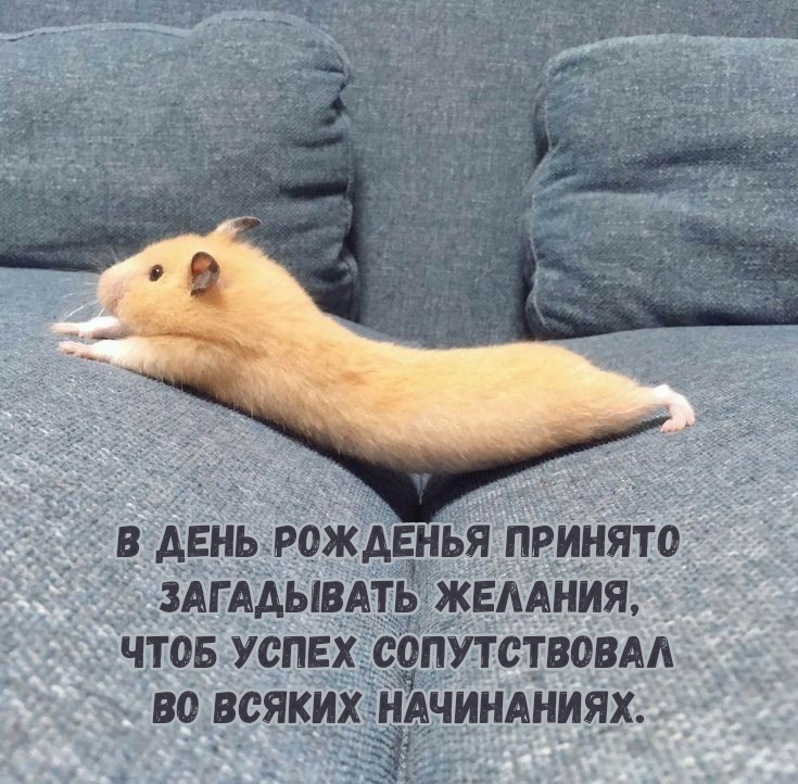 В День Рожденья принято загадывать желания