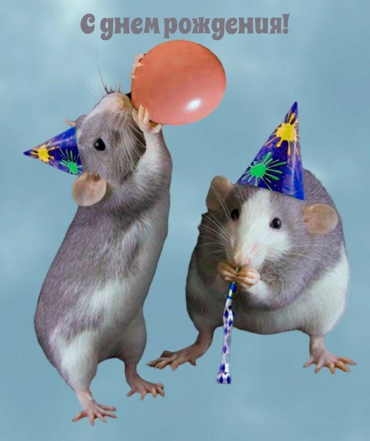 С днем рождения!