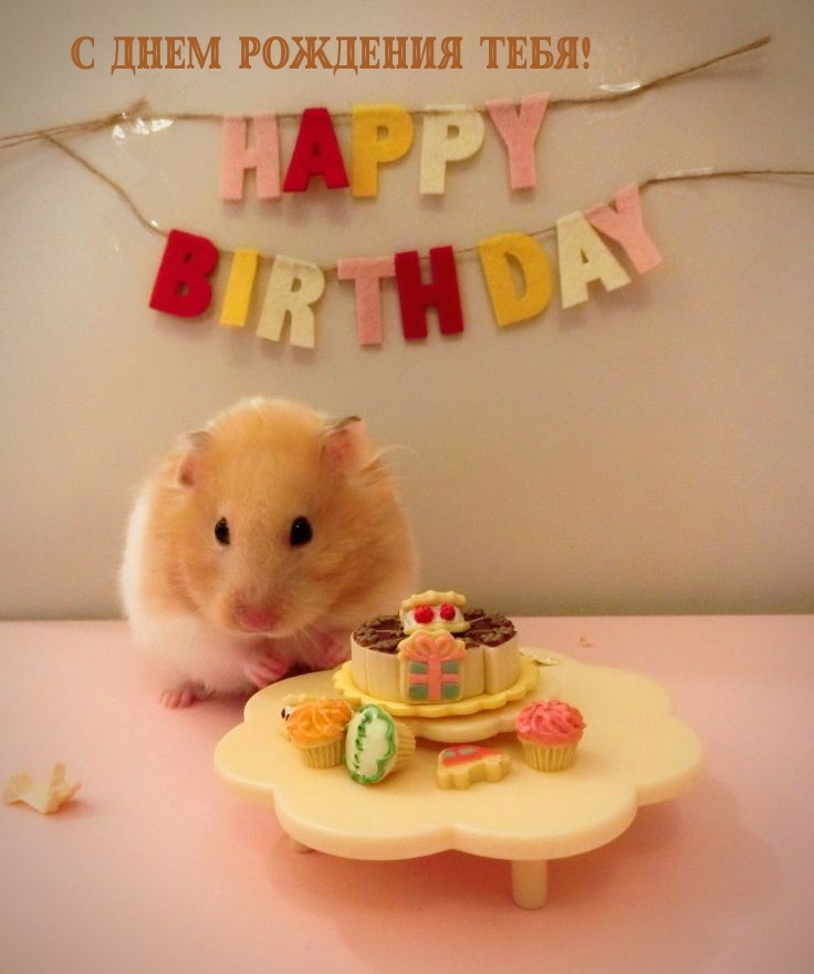 С днем рождения тебя!