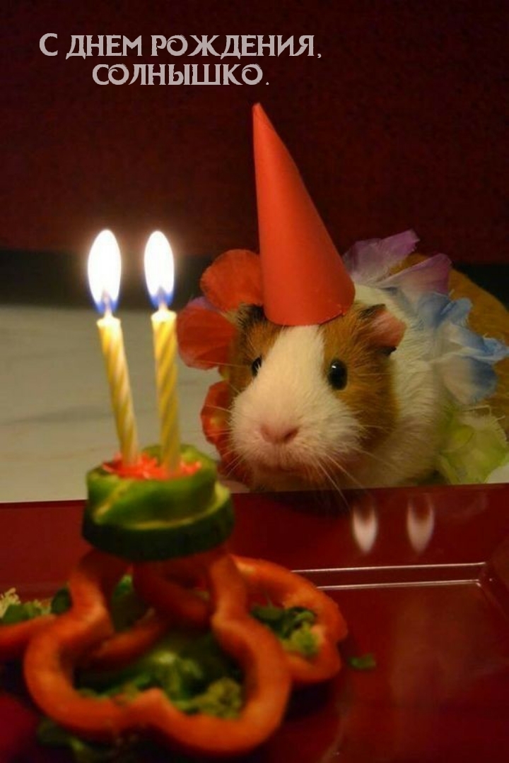 С днем рождения, солнышко.
