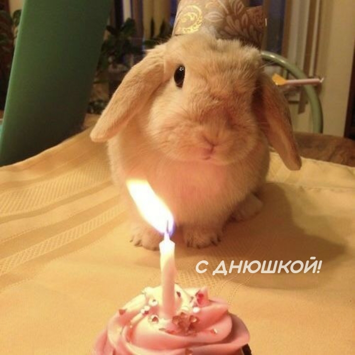 С днюшкой!