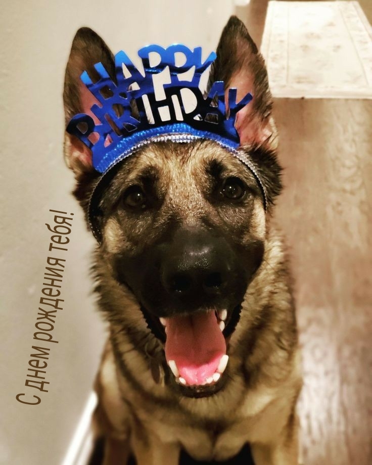 С днем рождения тебя!