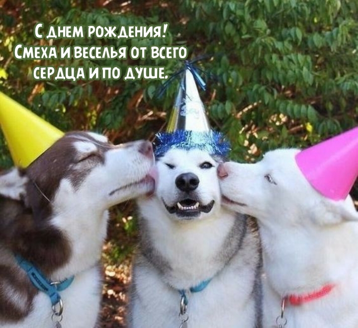 С днем рождения! Смеха и веселья от всего сердца и по душе.