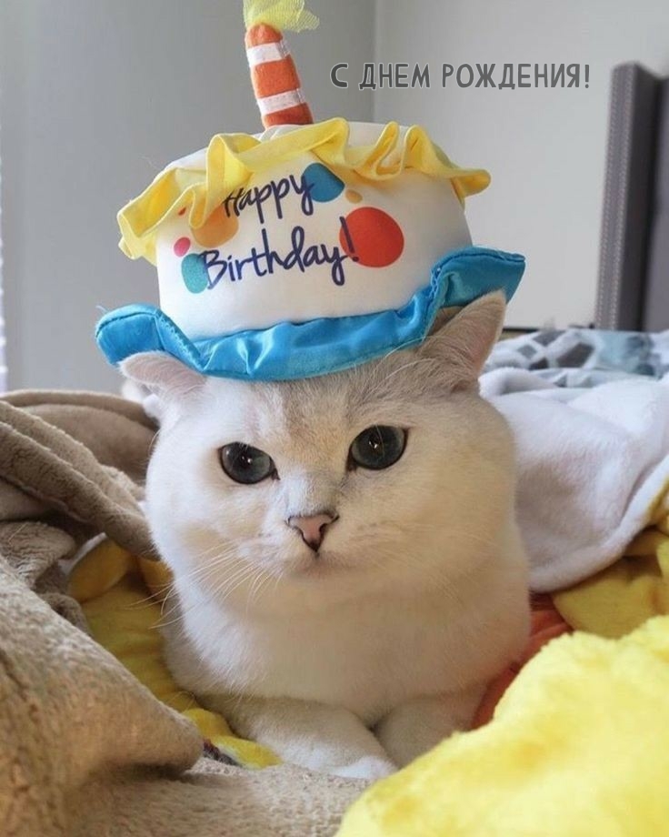 С днем рождения!