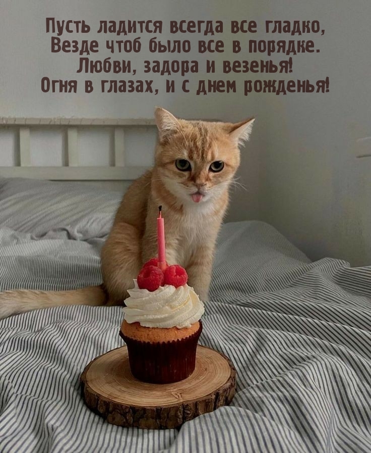 Любви, задора и везенья! Огня в глазах, и с днем рожденья!