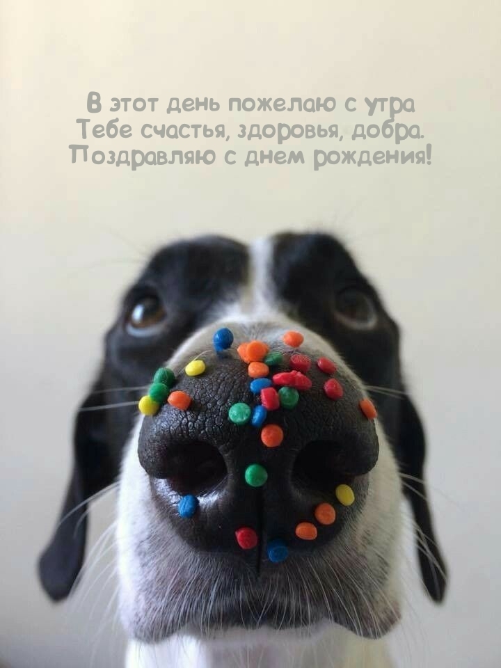 В этот день пожелаю с утра Тебе счастья, здоровья, добра.