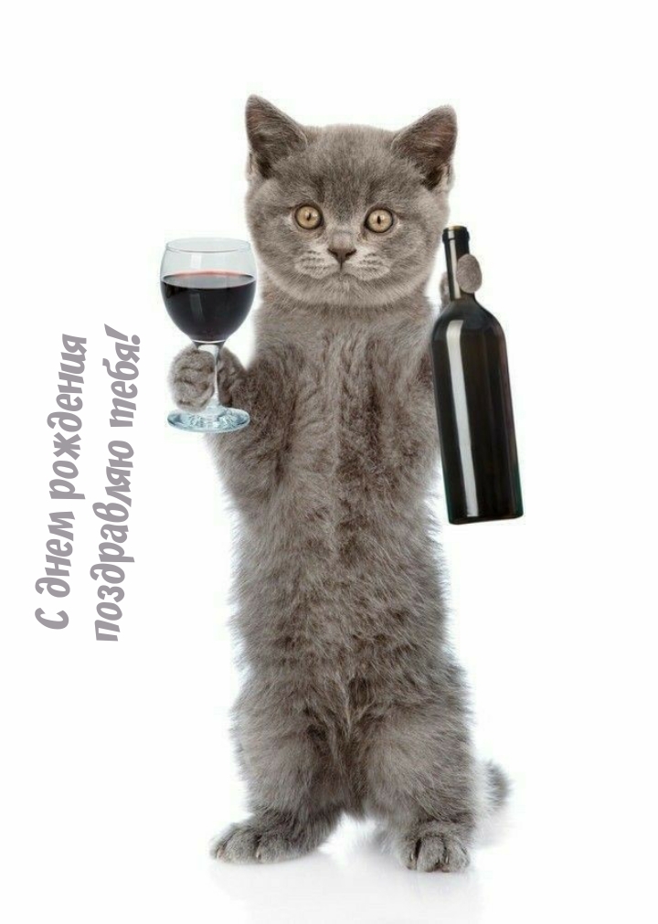 С днем рождения поздравляю тебя!