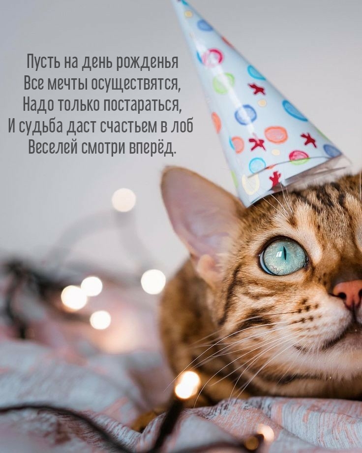 Пусть на день рожденья все мечты осуществятся