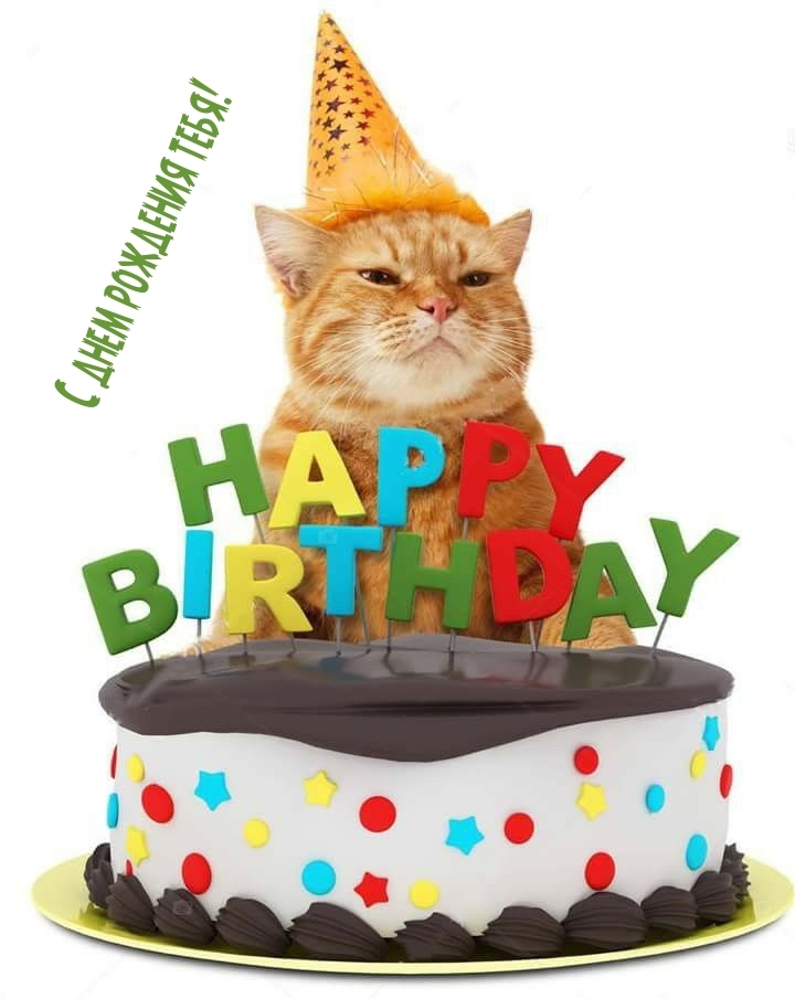 С днем рождения тебя!