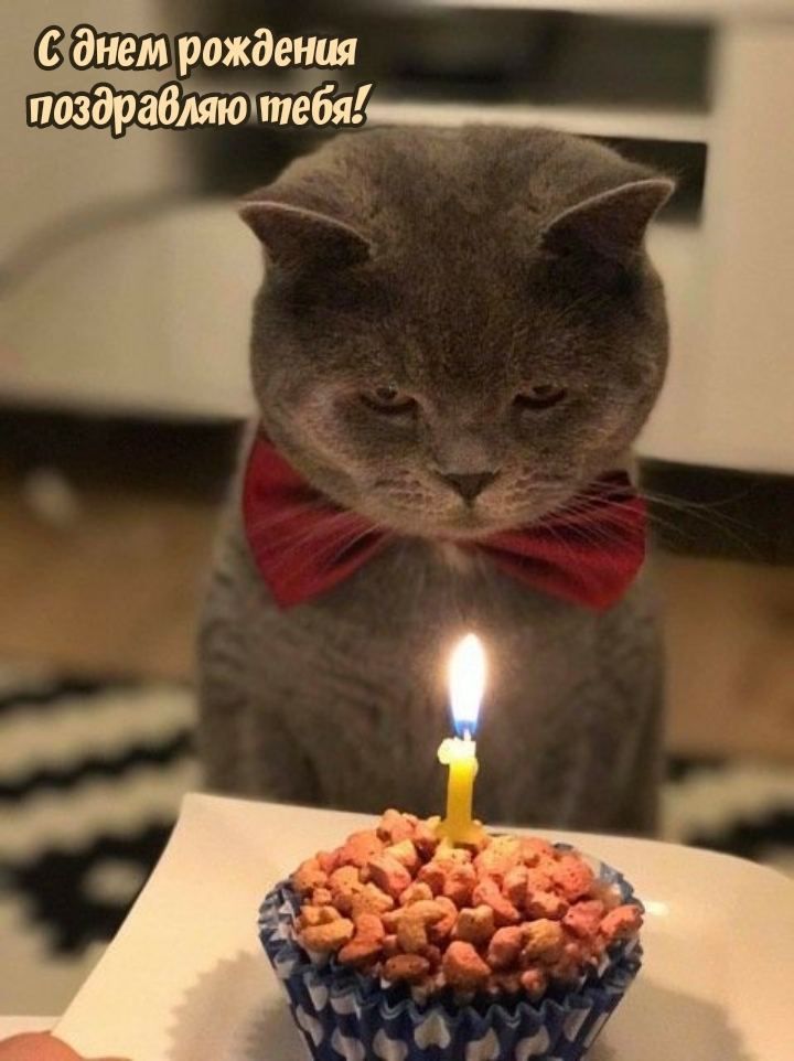 С днем рождения поздравляю тебя!