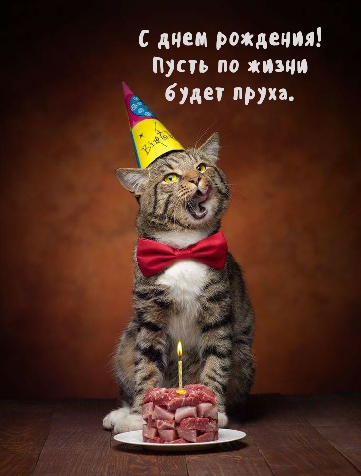 С днем рождения! Пусть по жизни будет пруха.
