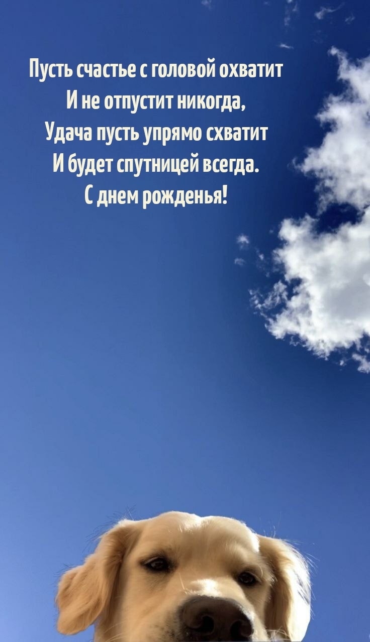 С днем рожденья! Пусть счастье с головой охватит