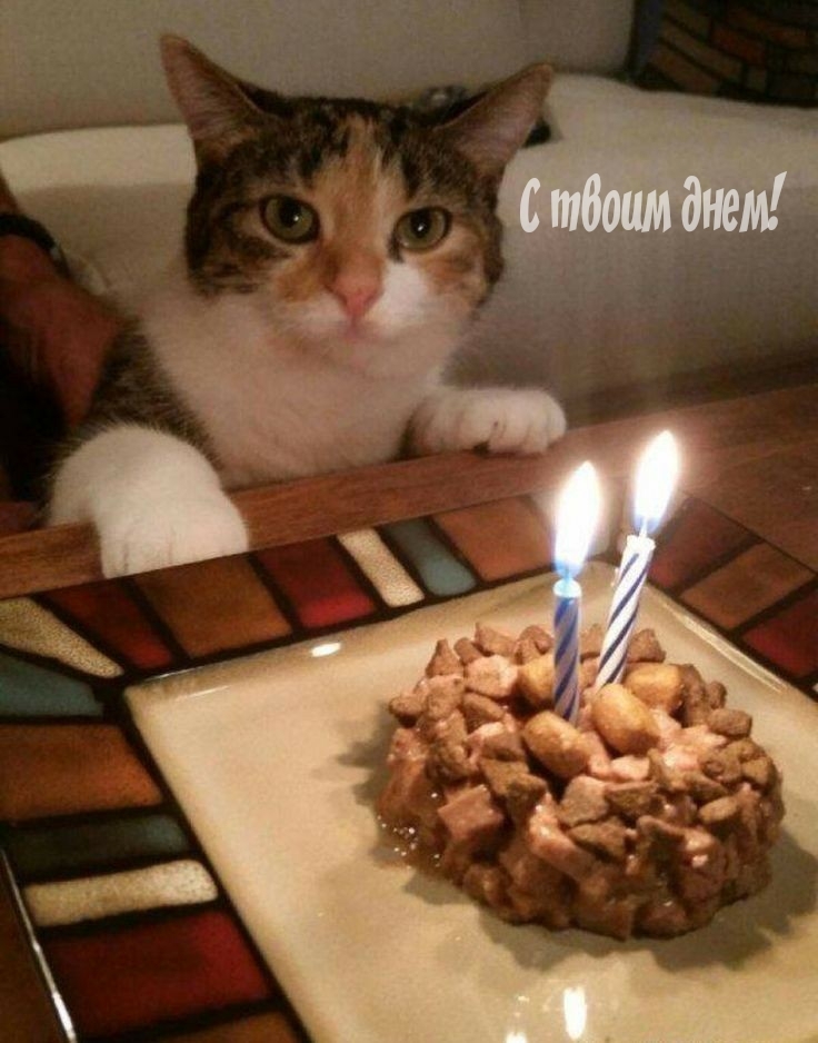 С твоим днем!