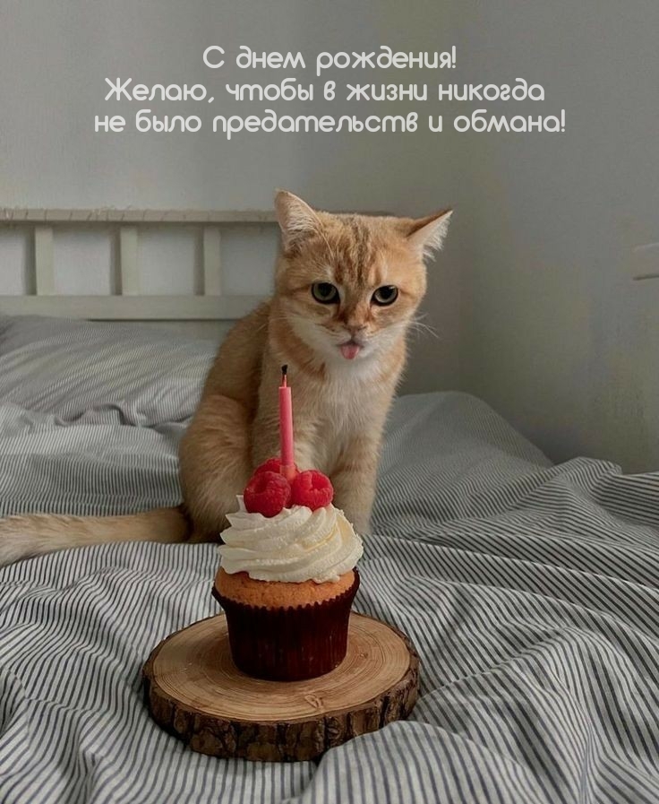 Желаю, чтобы в жизни никогда не было предательств и обмана!