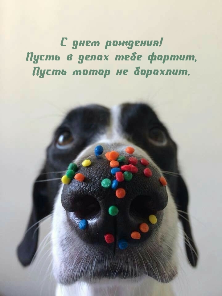 С днем рождения! Пусть в делах тебе фартит