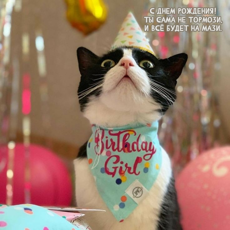 С днем рождения! Ты сама не тормози, и всё будет на мази.