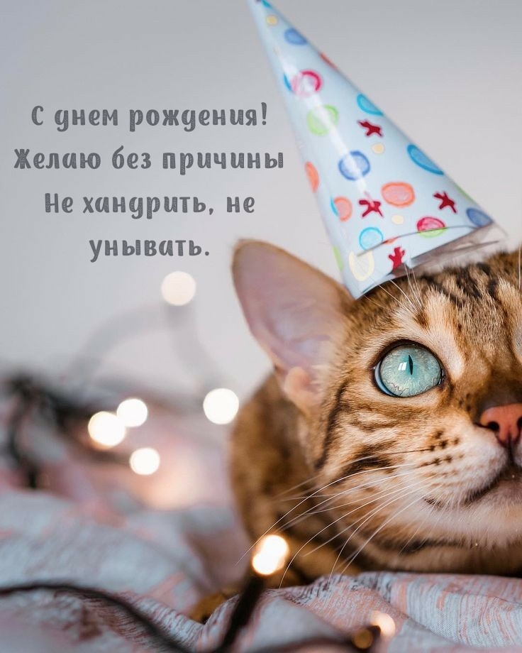 С днем рождения! Желаю без причины не хандрить, не унывать.